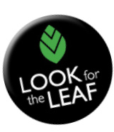 security bank leaf look for the leaf logo 